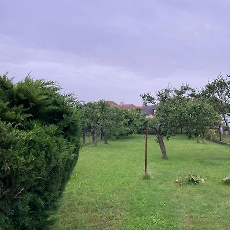 Se Zahradou V Protivíně č.2